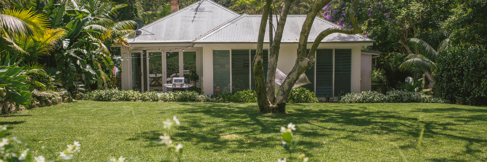 Top Summer Garden Care Products