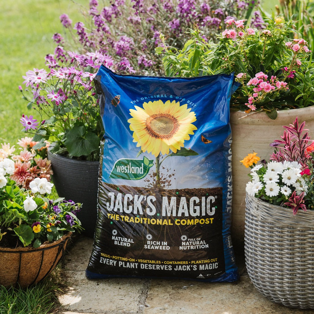 Westland Jack’s Magic All Purpose Compost | 50L