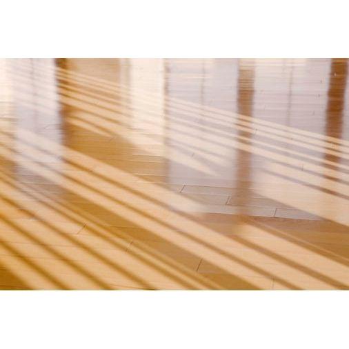 Rustins Quick Dry Floor Varnish | Gloss Clear - 2.5litre