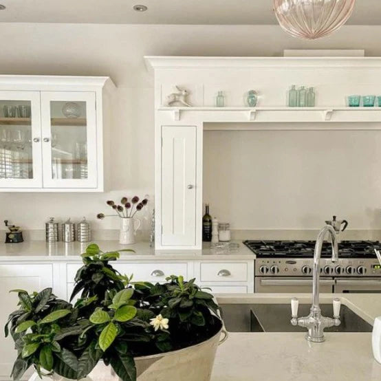 Paint & Paper Library Chaste 103