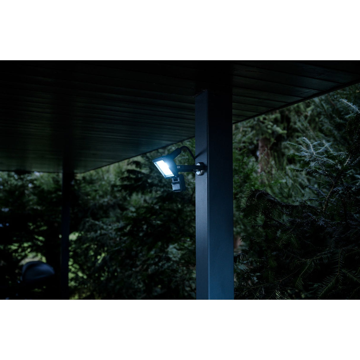 Street light illuminating a dark forest at night Brennenstuhl JARO 1060 P LED Spotlight with Motion Detector | 10W | 1150 Lumen | IP65