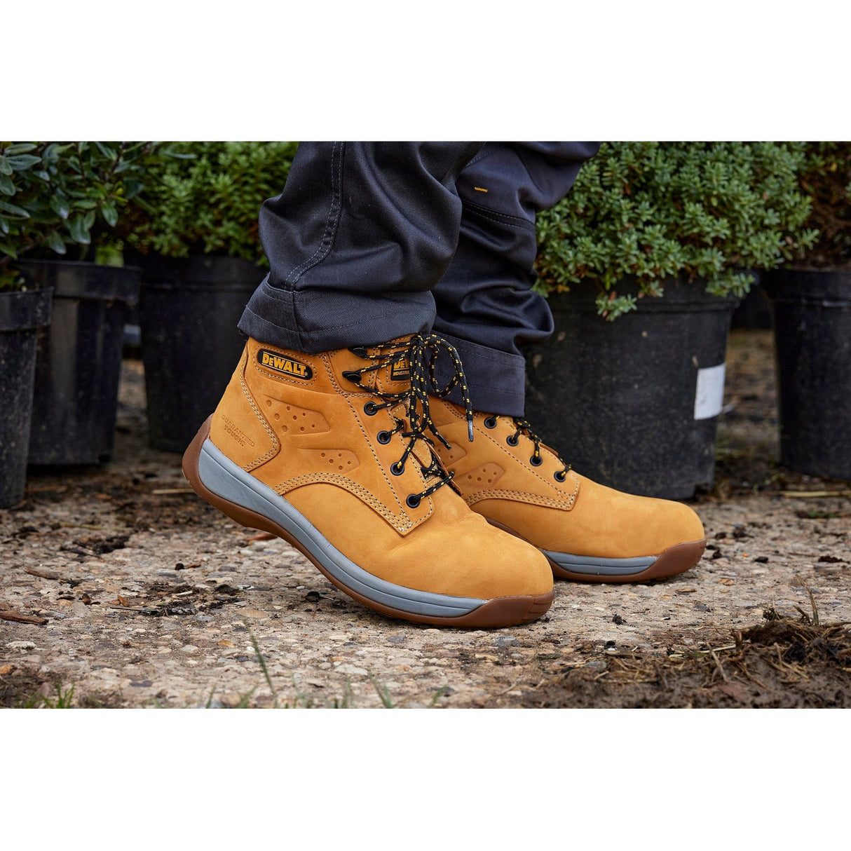 DeWalt Boot Laces 150cm Black