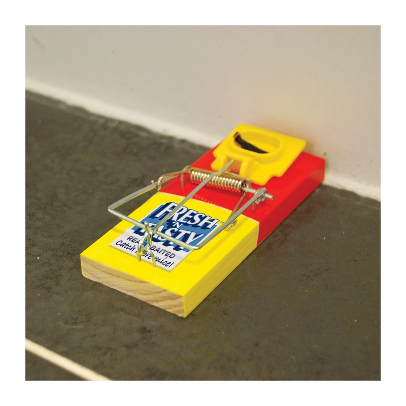Big Cheese Fresh Baited Mouse Trap