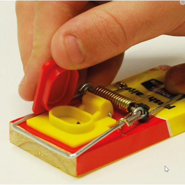 Big Cheese Fresh Baited Mouse Trap