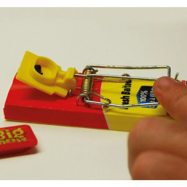 Big Cheese Fresh Baited Mouse Trap