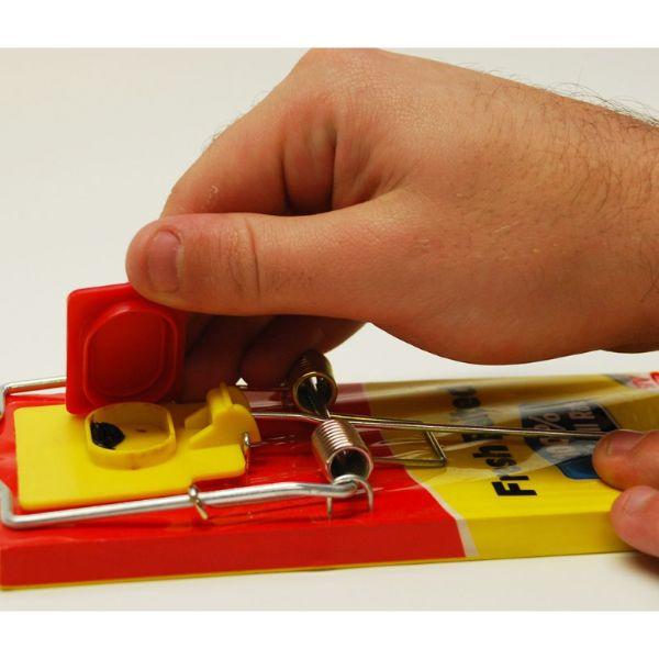 Big Cheese Fresh Baited Rat Trap