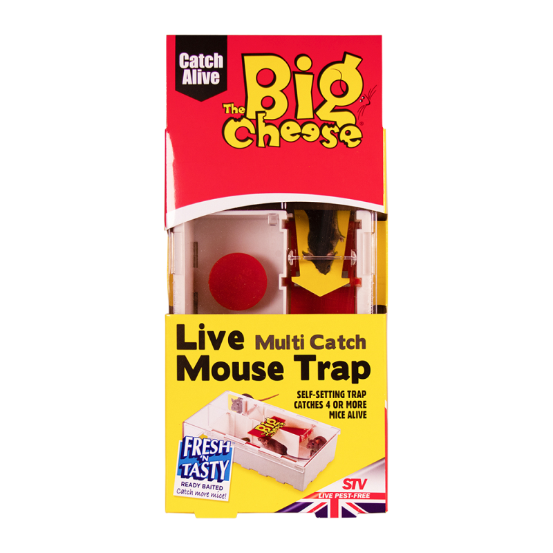 Big Cheese Live Multi-Catch Mouse Trap