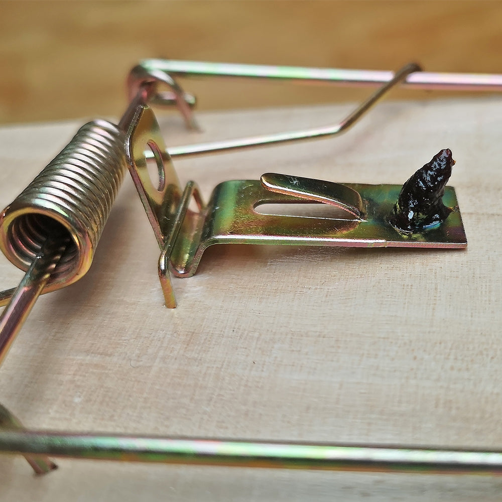 Big Cheese Mouse & Rat Attractant - 26g