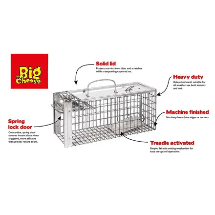 Big Cheese Rat Cage Trap