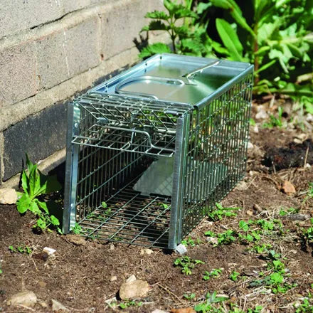 Big Cheese Rat Cage Trap