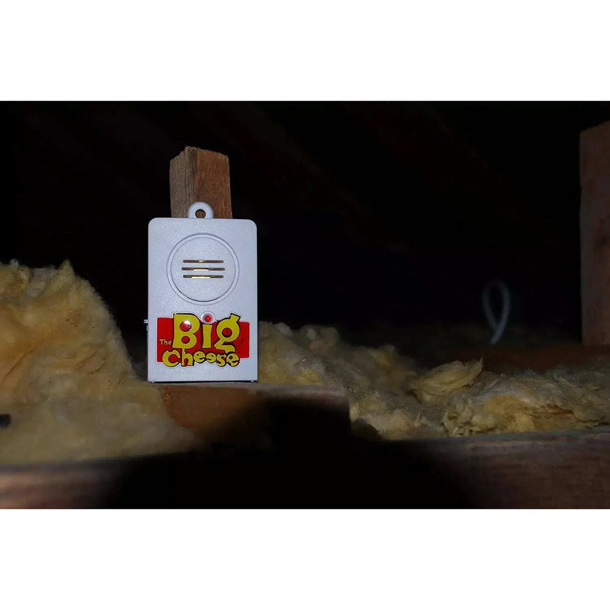 Big Cheese Snap Trap Alert