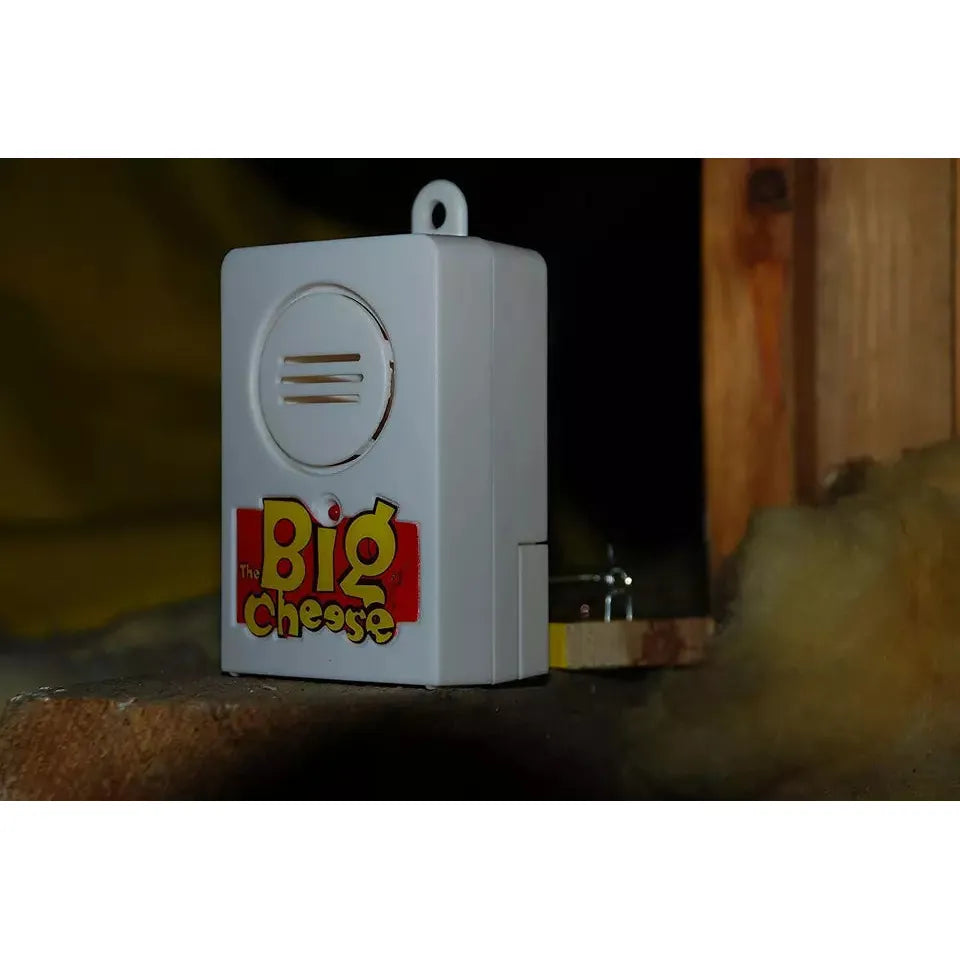 Big Cheese Snap Trap Alert