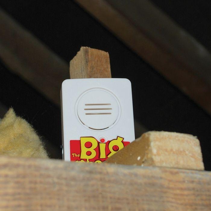 Big Cheese Snap Trap Alert