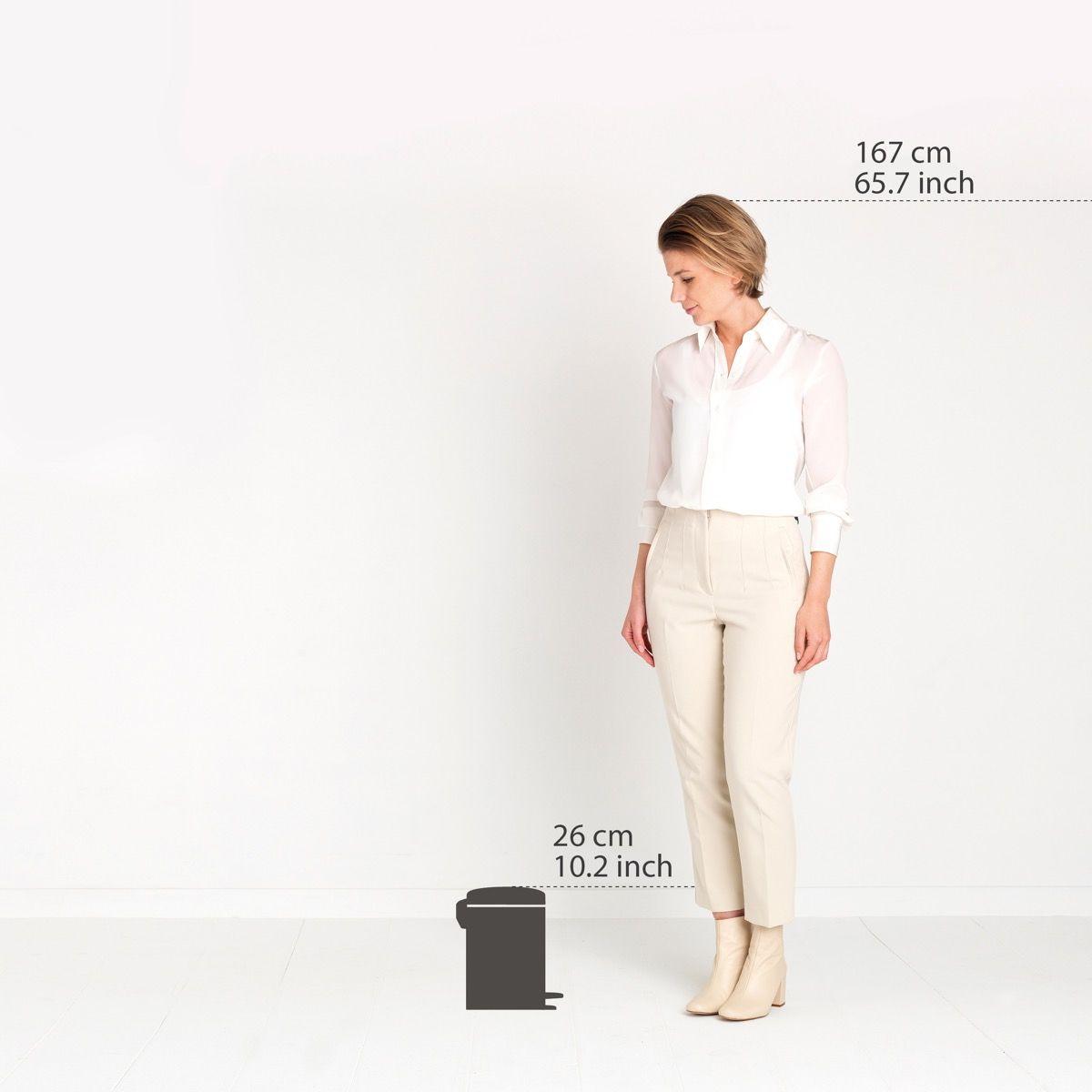 Brabantia Newicon Pedal Bin - 3L - Platinum