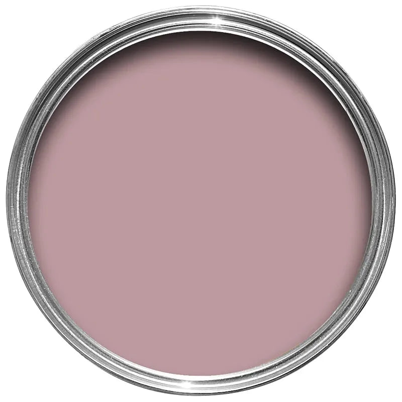 Farrow & Ball Cinder Rose Paint 246