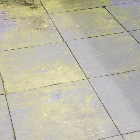 HG Algae And Mould Remover - 1L