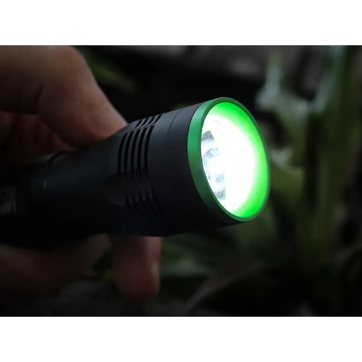 Lighthouse 500 Lumens Elite Focus Torch