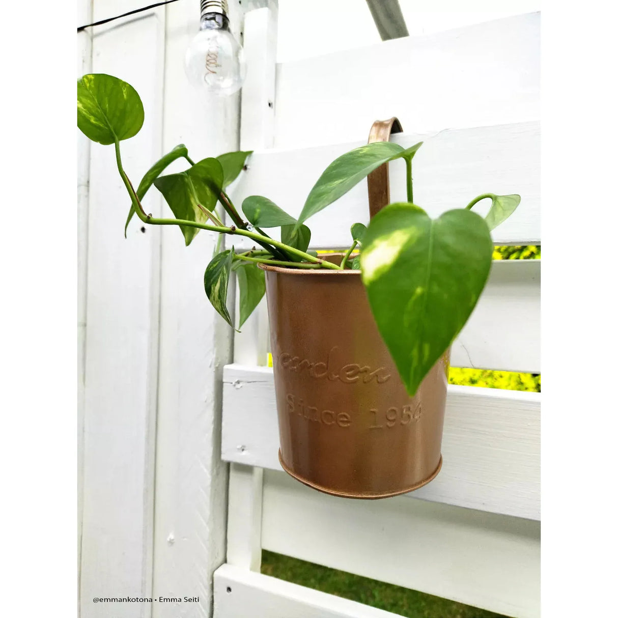 Maston ONE Spray Paint Gloss Ochre Brown