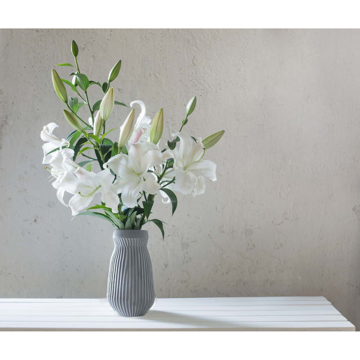 Maston ONE Spray Paint Matt Light Grey