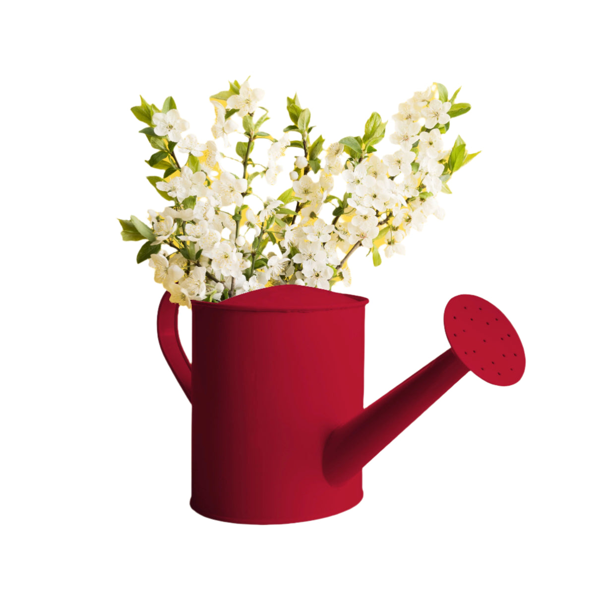 Maston ONE Spray Paint Satin Red