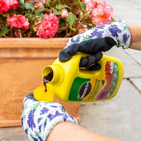 Person wearing gardening gloves pouring a liquid from a Miracle-Gro container into a potted plant.