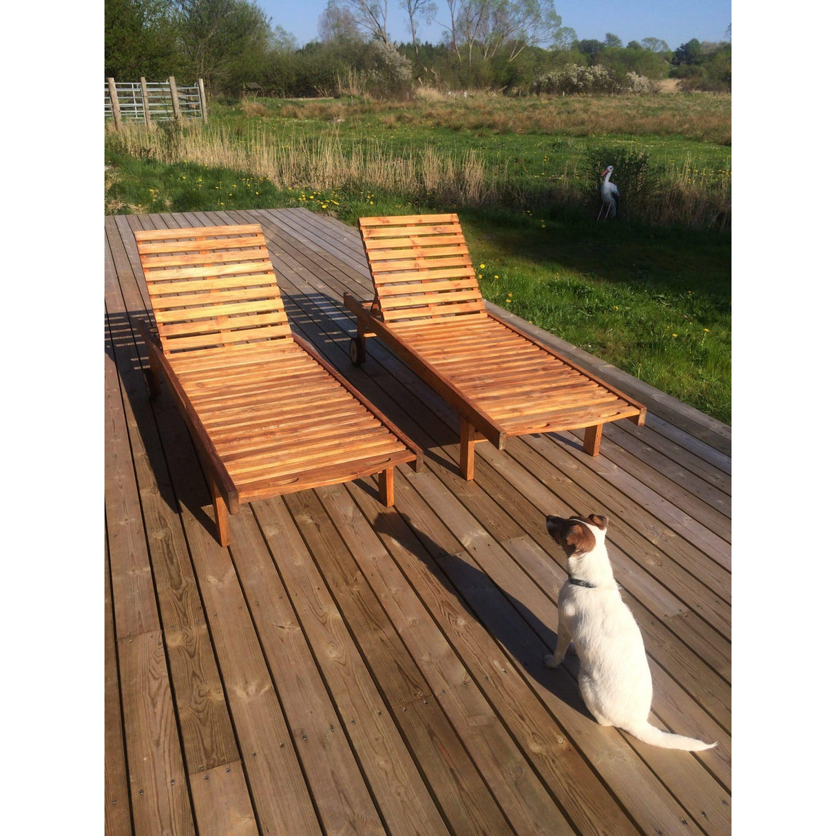 Owatrol Textrol Golden Oak 5L