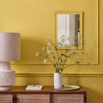 Paint & Paper Scallion 519