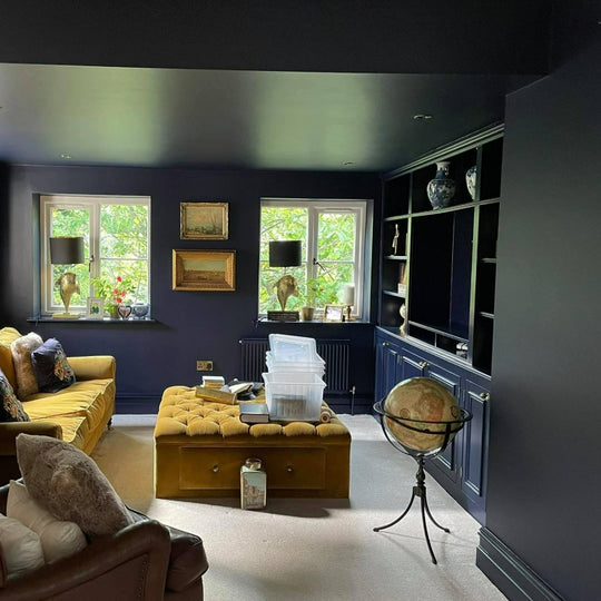 Paint & Paper Plimsoll 655