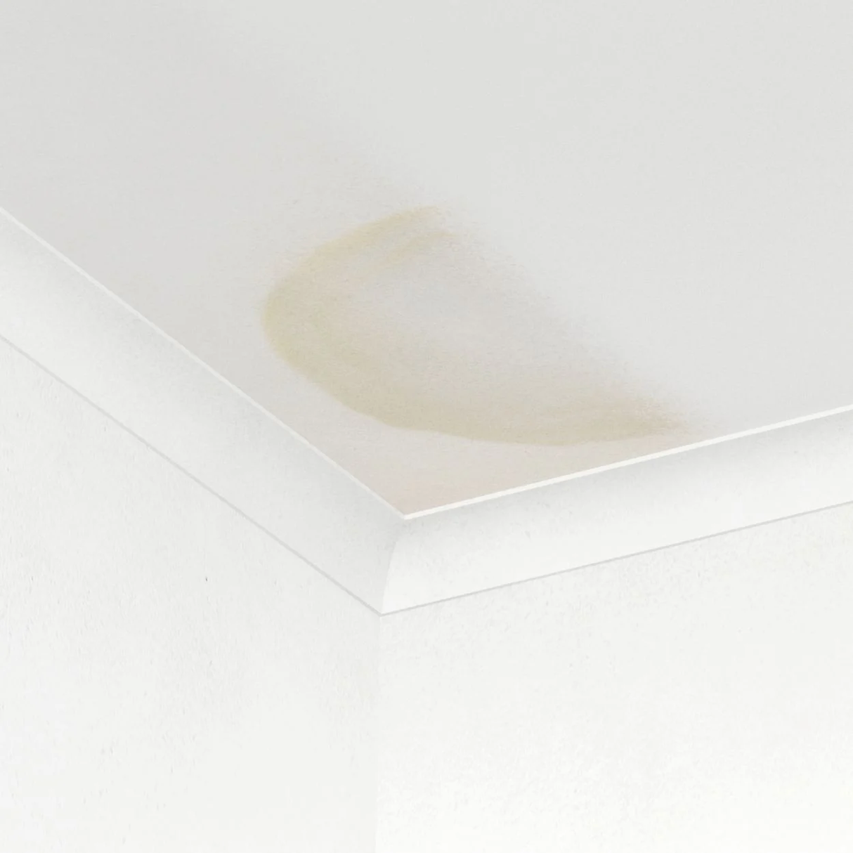 Rust-Oleum Primer Sealer Stain Block - Killer White