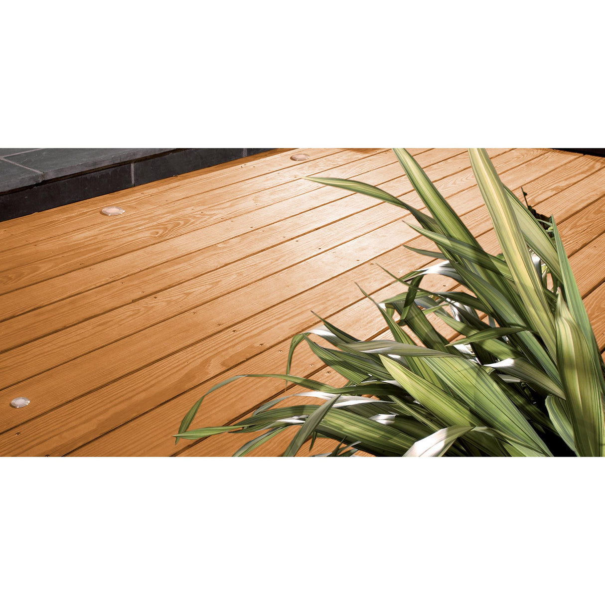 Sadolin Classic All Purpose Woodstain | Light Oak - 5L