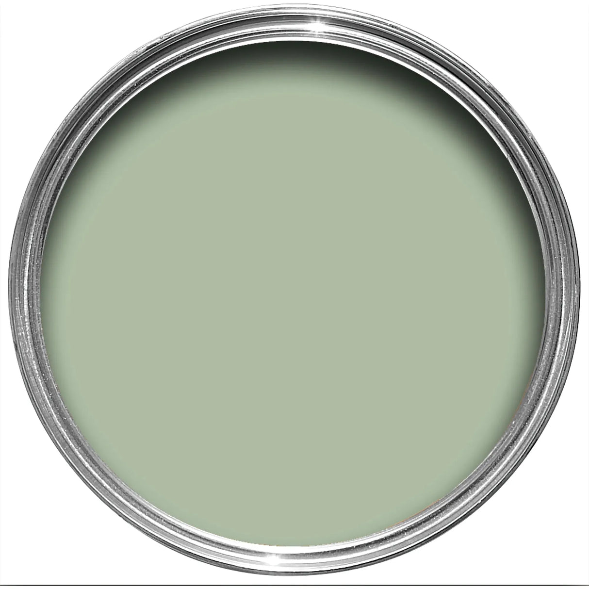 Farrow & Ball Whirlybird Paint 309