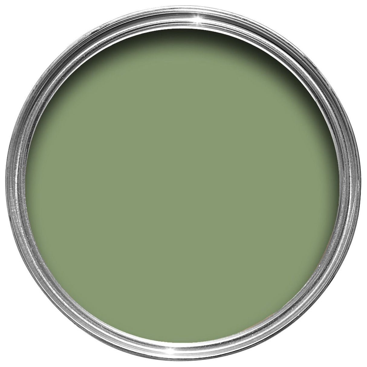 Farrow & Ball Yeabridge Green Paint 287