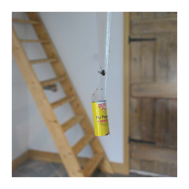 Zero In Fly Papers 4 Pack