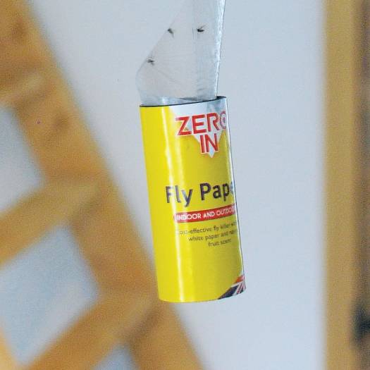 Zero In Fly Papers 4 Pack