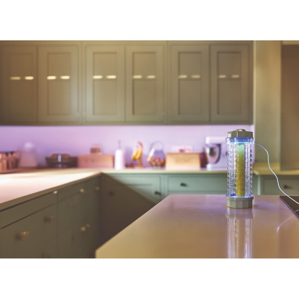 Zero In UV Light Kitchen Insect Killer