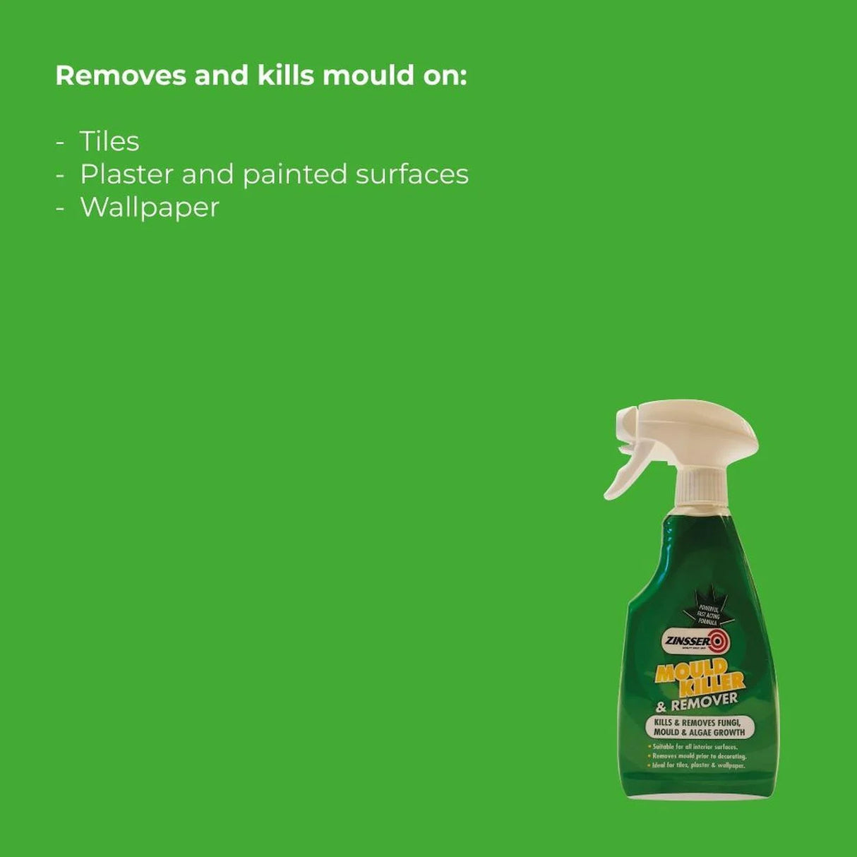Zinsser Mould Killer & Remover