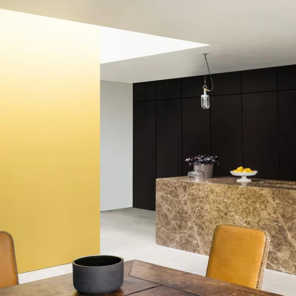 Paint & Paper Chinese Emperor 478