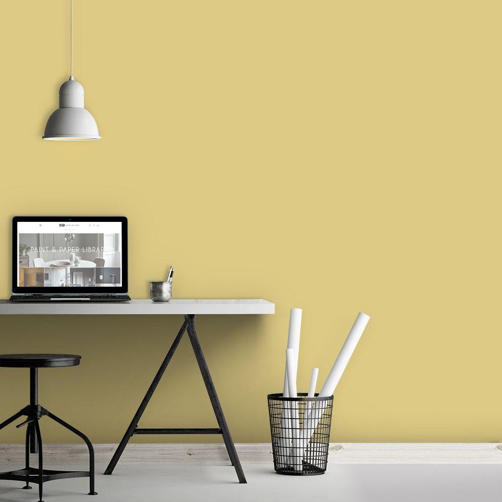 Paint & Paper Scallion 519