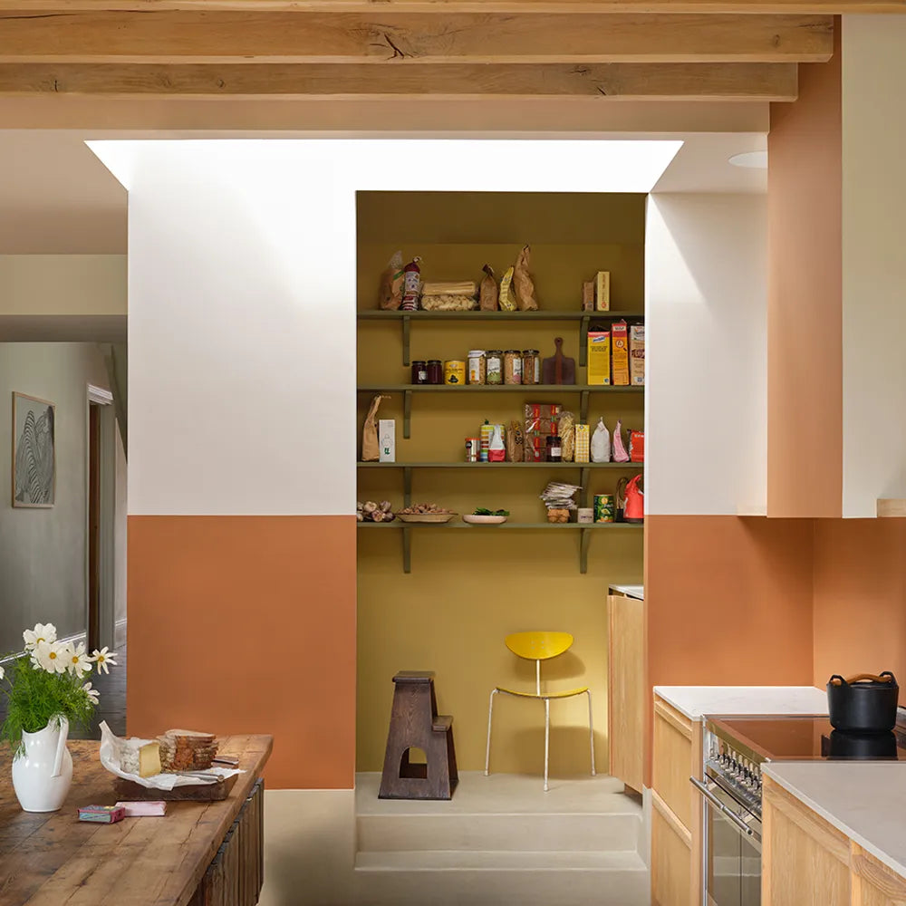 Farrow & Ball Marmelo Paint 316