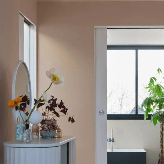 Farrow & Ball Templeton Pink Paint 303