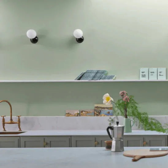 Farrow & Ball Whirlybird Paint 309