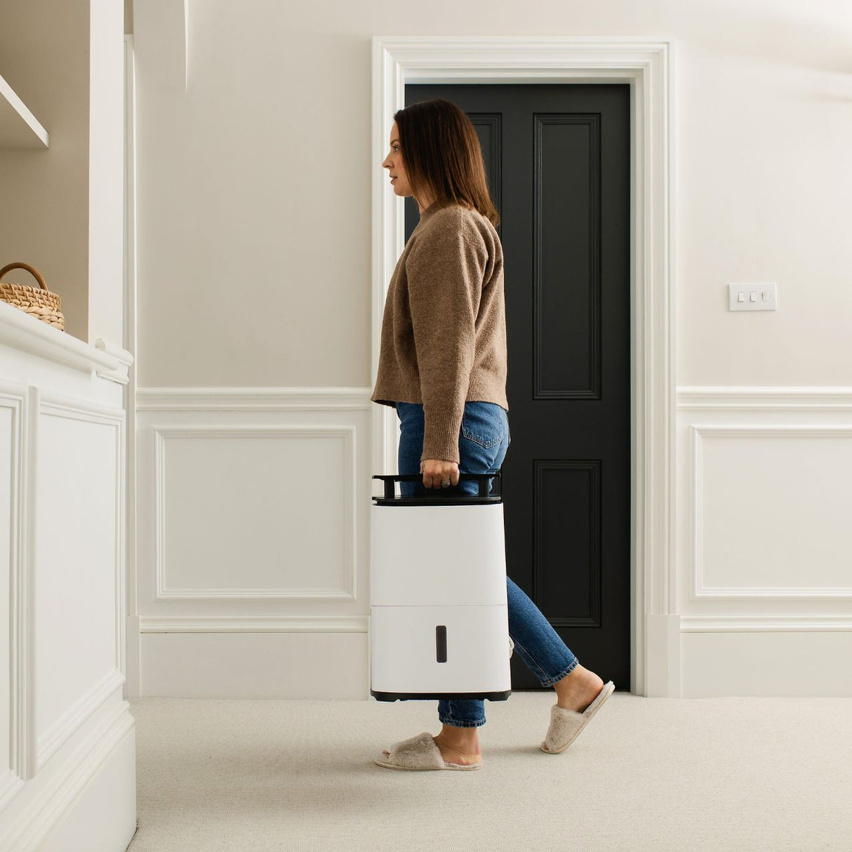 MeacoDry Arete® Two 12L Dehumidifier / Air Purifier