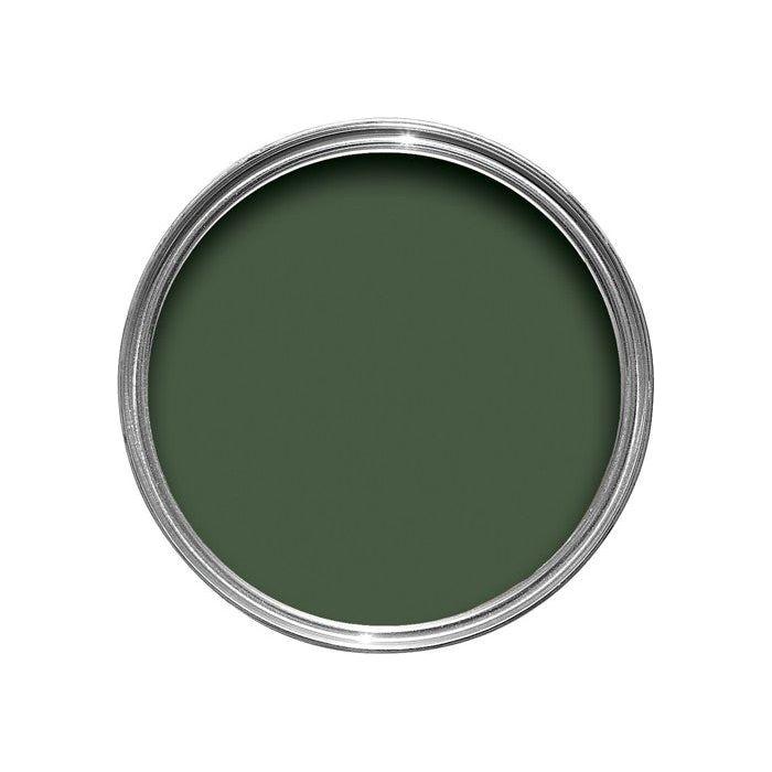 Farrow & Ball Duck Green Paint W55