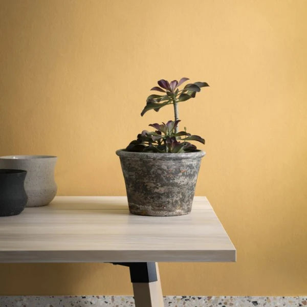 Paint & Paper Parasol 508