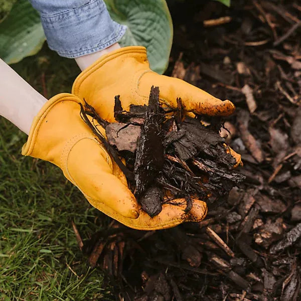 Westland Landscape Bark 100 Litre - Buy 2 for €24