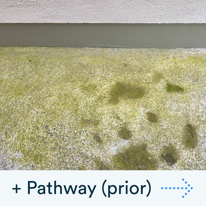 Buy the Actiwash Domestic: Powerful Outdoor Biocide now. Available for dispatch in Ireland from Ted Johnson Ltd, Naas, County Kildare, W91 XW35. Problem Solved!