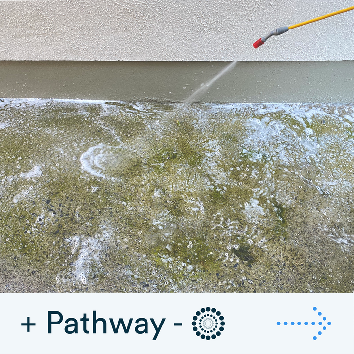 Buy the Actiwash Domestic: Powerful Outdoor Biocide now. Available for dispatch in Ireland from Ted Johnson Ltd, Naas, County Kildare, W91 XW35. Problem Solved!