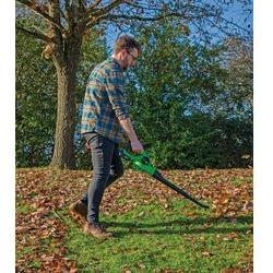 Draper D20 20V Leaf Blower with Battery and Charger