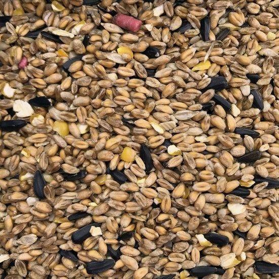 Wild Bird Mixed Seed