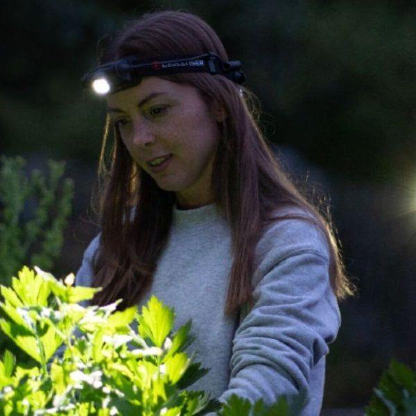 Ledlenser H5R Core Rechargeable LED Head Torch